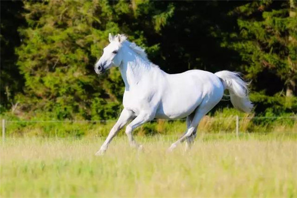 μİ շתϷȴ