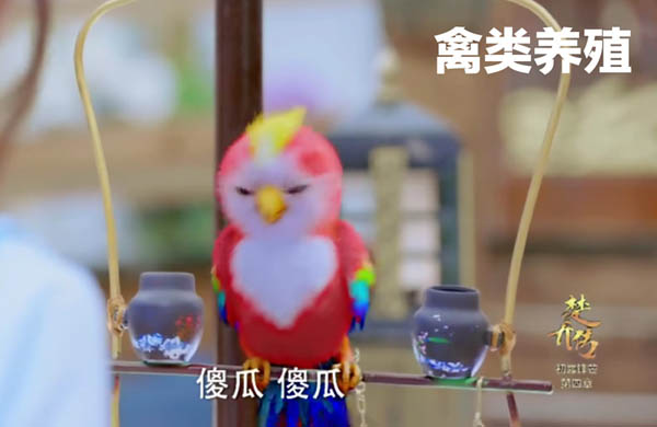 عǴĳС˵ֽ ̨̫Ű